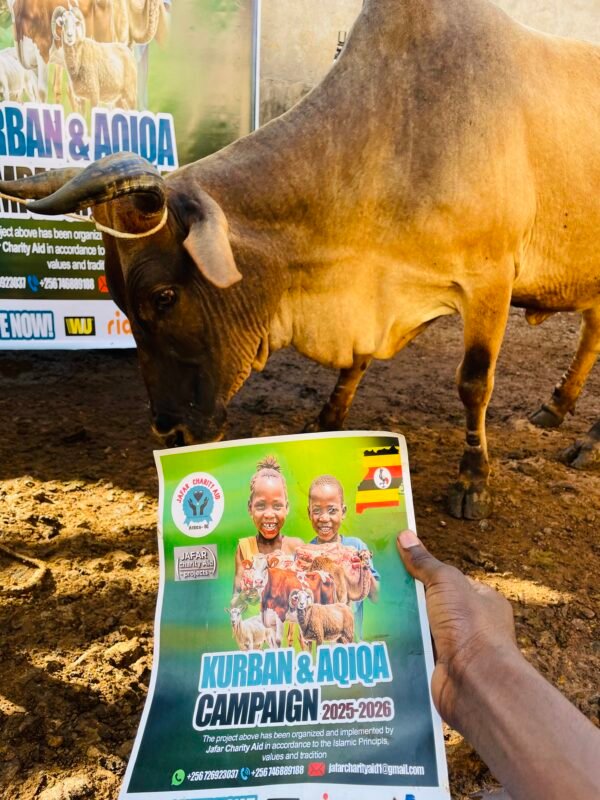 Kurban and Aqiqa sacrifice