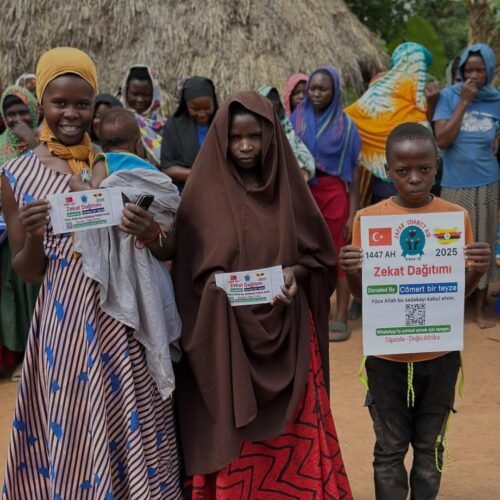 IMG_20260226_125334_322