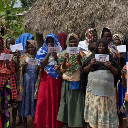 IMG_20260226_125342_214