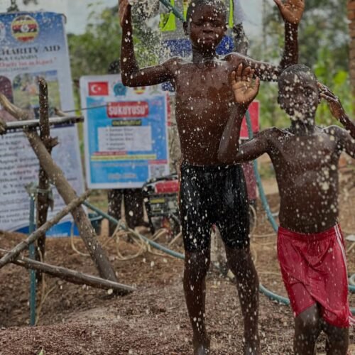 IMG_20260226_125441_545