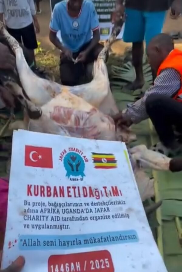 Kurban and Aqiqa sacrifice