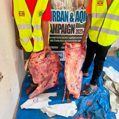 IMG_20260226_125727_186