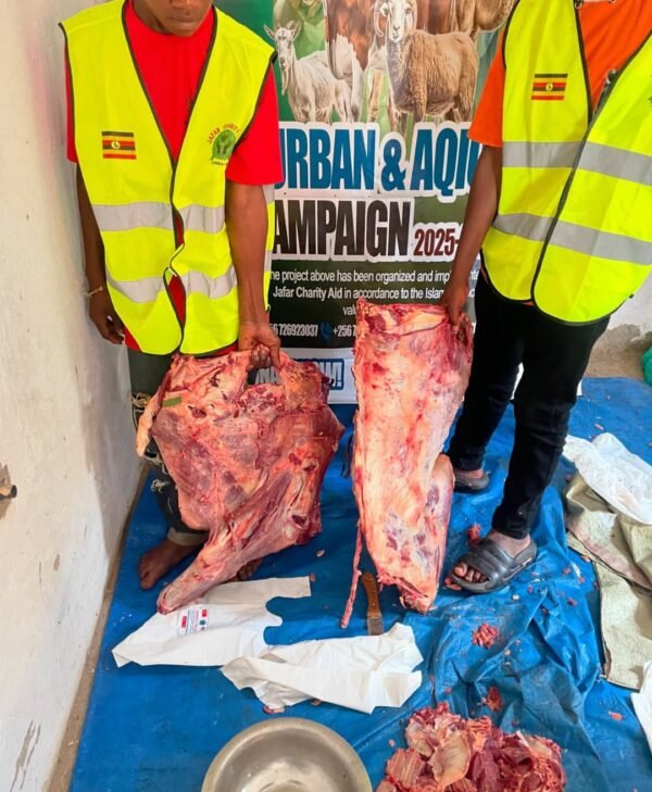 Kurban and Aqiqa sacrifice