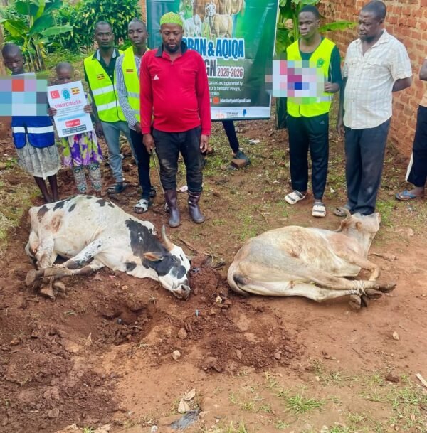 Kurban and Aqiqa sacrifice