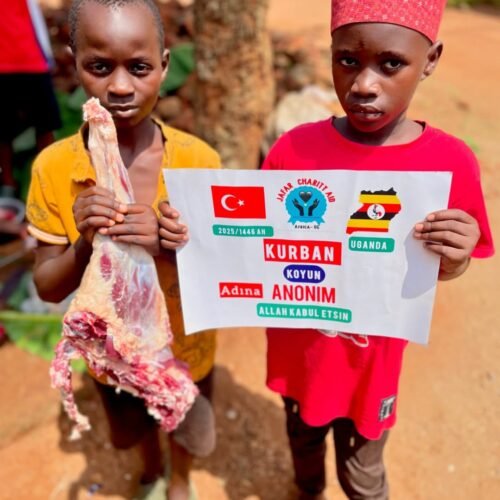 IMG_20260226_125747_194