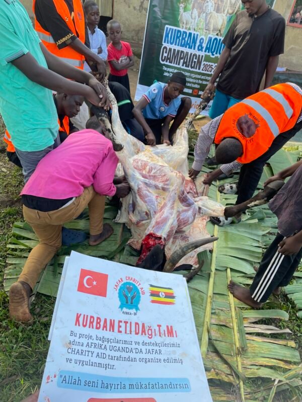 Kurban and Aqiqa sacrifice