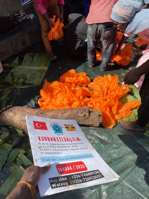 Kurban and Aqiqa sacrifice