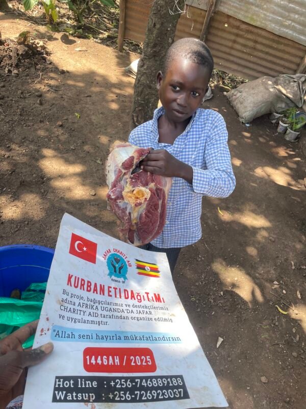 Kurban and Aqiqa sacrifice