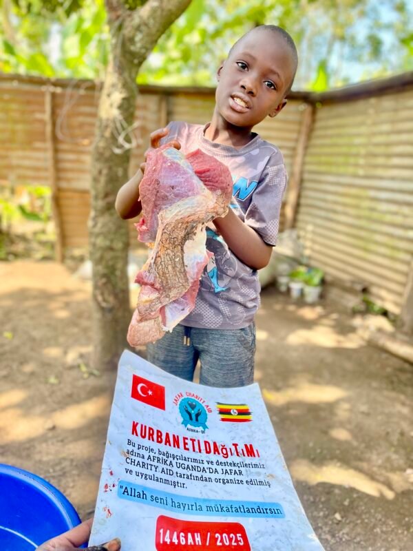 Kurban and Aqiqa sacrifice