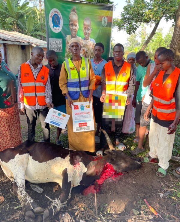 Kurban and Aqiqa sacrifice